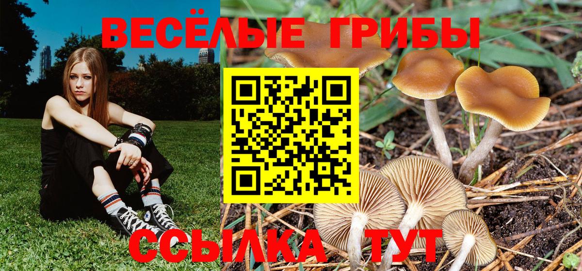 Псилоцибиновые грибы Psilocybine cubensis  Вход с VPN  Бутурлиновка 